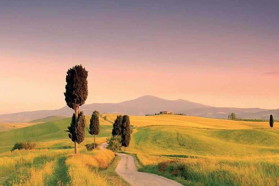 From Siena: Tuscany Hills Wine Tour - Pienza: cheese, views, and time to wander