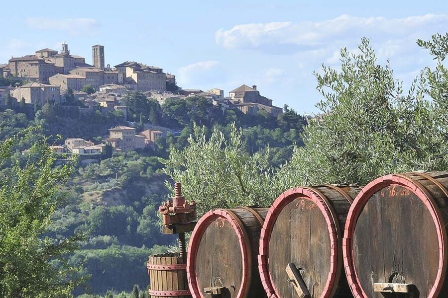 From Siena: Tuscany Hills Wine Tour - Montepulciano: grand streets and Nobile wine