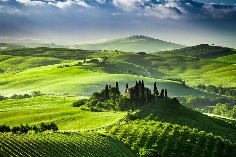 From Siena: Tuscany Hills Wine Tour - Guides, languages, and the group experience