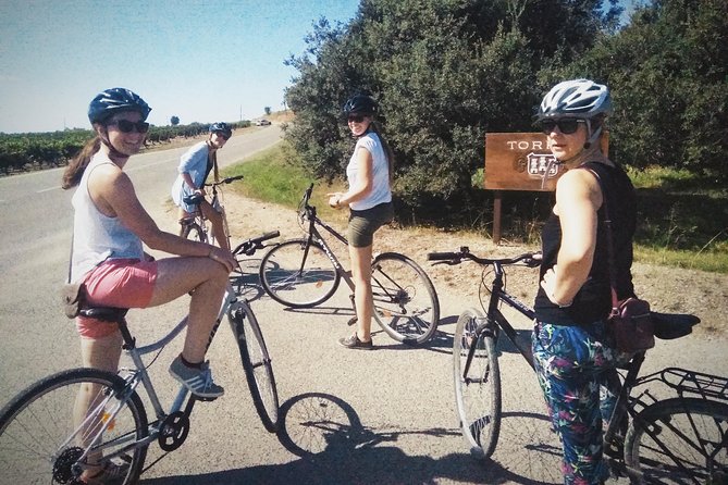 From Sitges: Bike Tour and Winery Visit with Free Hotel Pick Up. - What Alex Adds to the Morning