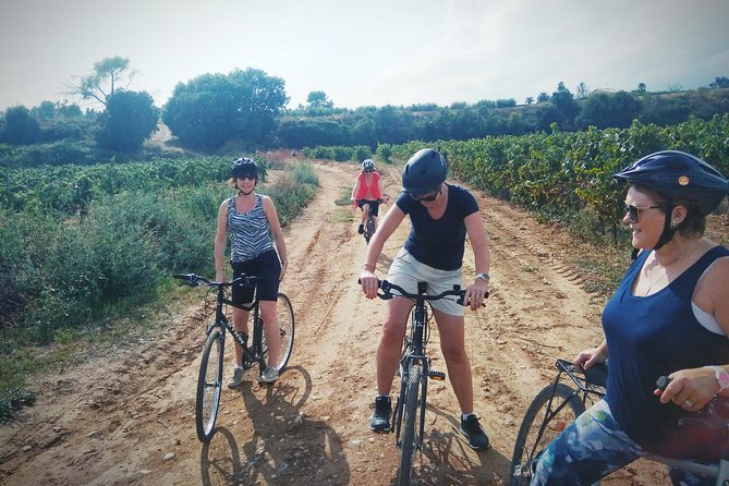 From Sitges: Bike Tour and Winery Visit with Free Hotel Pick Up. - Who Will Enjoy This Bike and Wine Tour?