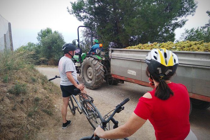 From Sitges: Bike Tour and Winery Visit with Free Hotel Pick Up. - Practical Details Before You Book