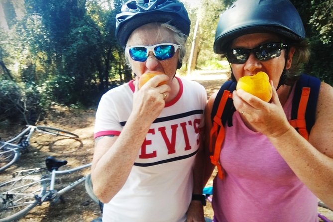 From Sitges: Bike Tour and Winery Visit with Free Hotel Pick Up. - Should You Book It?
