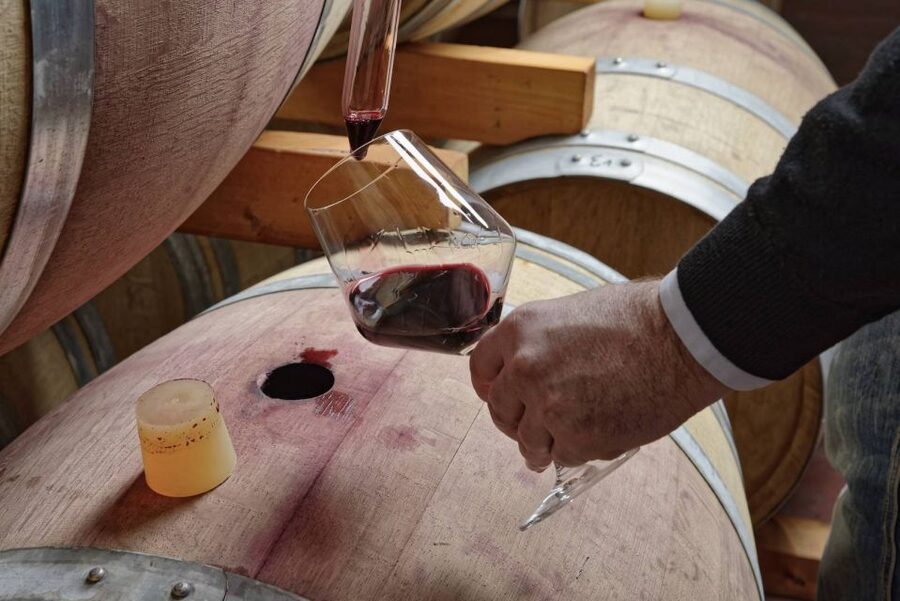 From Sorrento: Full-Day Pompeii & Wine Tasting Tour - Who should book this day?