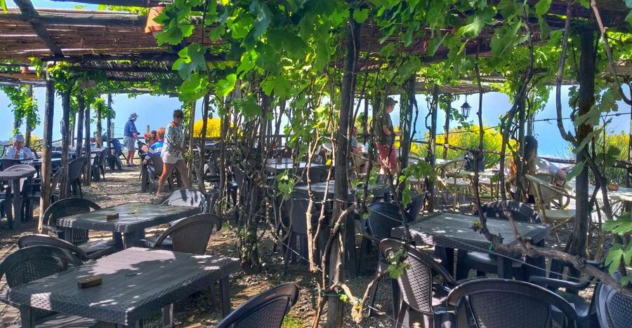From Sorrento: Mount Vesuvius Tour with Lunch & Wine Tasting - Walking the crater rim of Mount Vesuvius