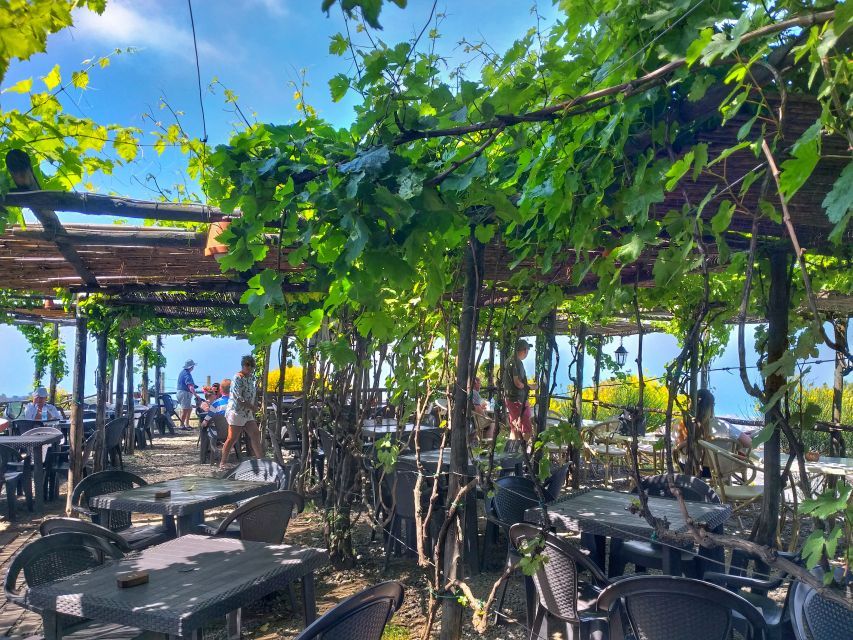 From Sorrento: Mount Vesuvius Tour with Lunch & Wine Tasting - Guides, drivers, and the feel of the day