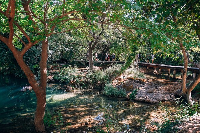 From Split: Krka Waterfalls, Food & Wine Tasting Tour - The guides and group experience