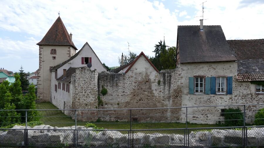 From Strasbourg: Medieval Villages & Wine Tasting Day Trip - A local winery and Alsatian tasting