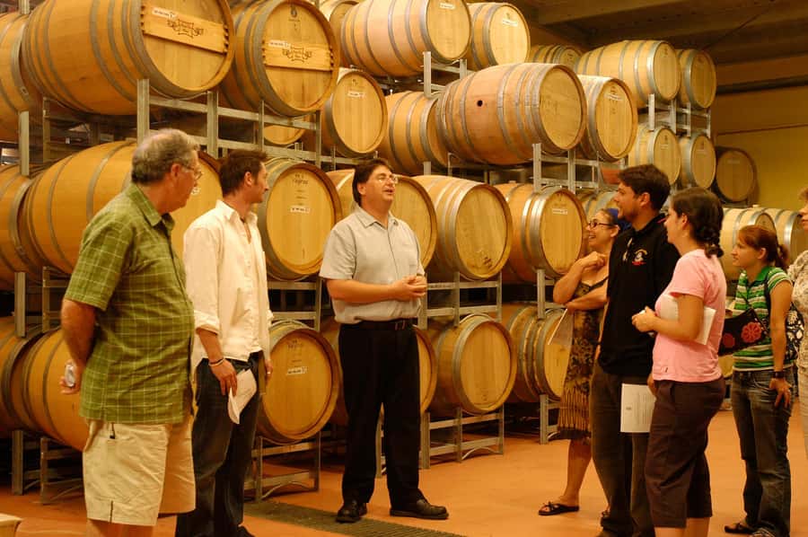 From Sydney: All Inclusive Boutique Hunter Valley Wine Tour - Should you book the Hunter Valley wine tour?