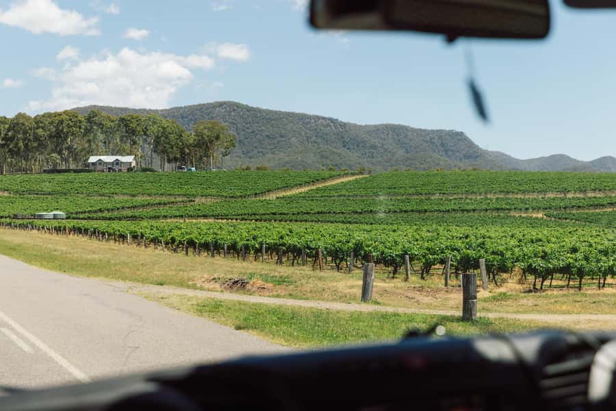 From Sydney: Full-Day Hunter Valley Wine Tour & Lunch - The early departure from central Sydney