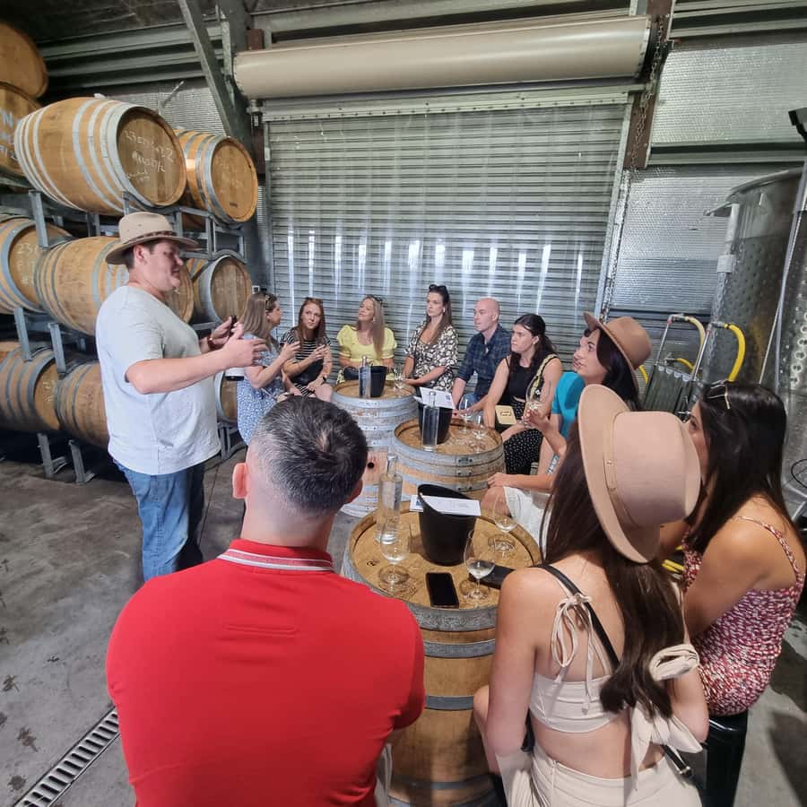 From Sydney: Hunter Valley Wine, Gin & Food Tastings Tour - First cellar door: a gentle start to the tastings