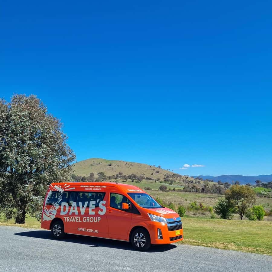 From Sydney: Hunter Valley Wine, Gin & Food Tastings Tour - The return drive and the chance of kangaroos