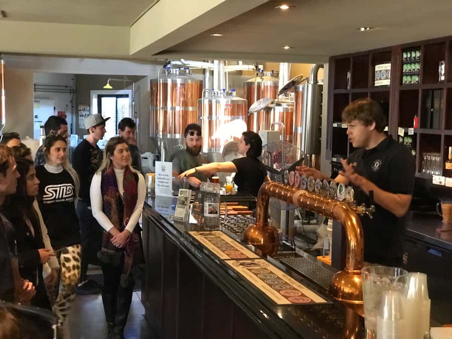 From Sydney: Hunter Valley Wine Tasting & Winery Picnic Tour - Two rotating wineries in Pokolbin