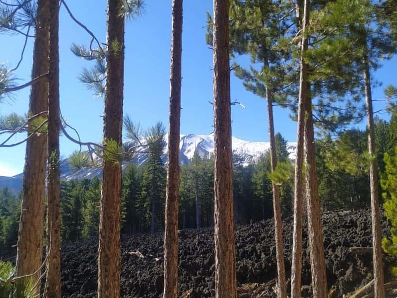 From Taormina: Etna Walking Tour and Wine Tasting in Winery - The Etna resort, with time to choose your pace