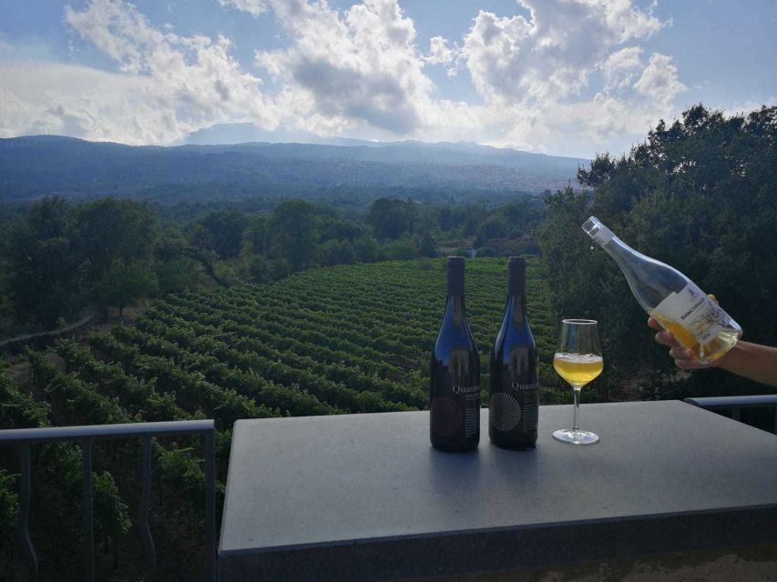 From Taormina: Etna Wineries Small Group Tour - Why Etna wine country is worth the drive