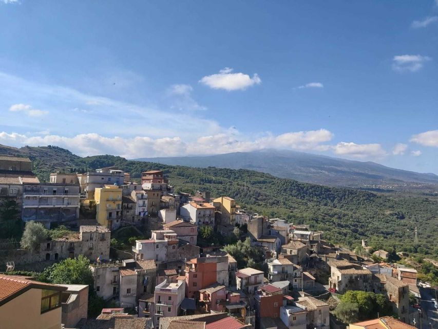 From Taormina: Etna Wineries Small Group Tour - The first winery: vineyard views and a lighter tasting