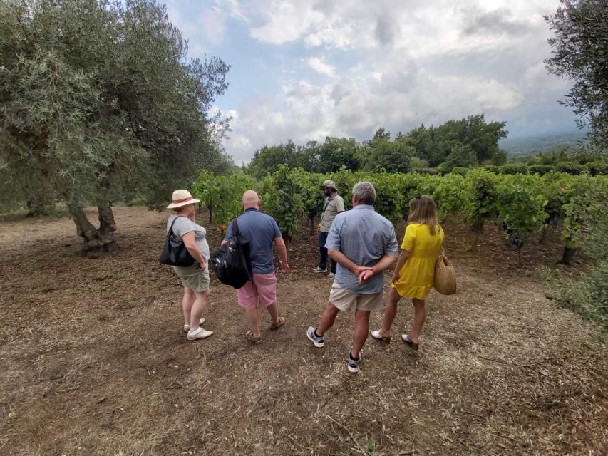 From Taormina: Etna Wineries Small Group Tour - The second winery: three wines and a real Sicilian lunch