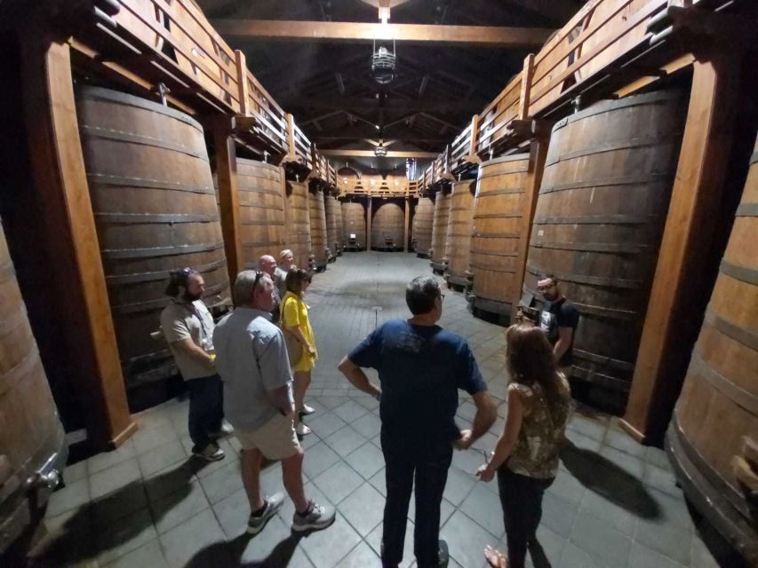 From Taormina: Etna Wineries Small Group Tour - A practical start from Taormina or Naxos