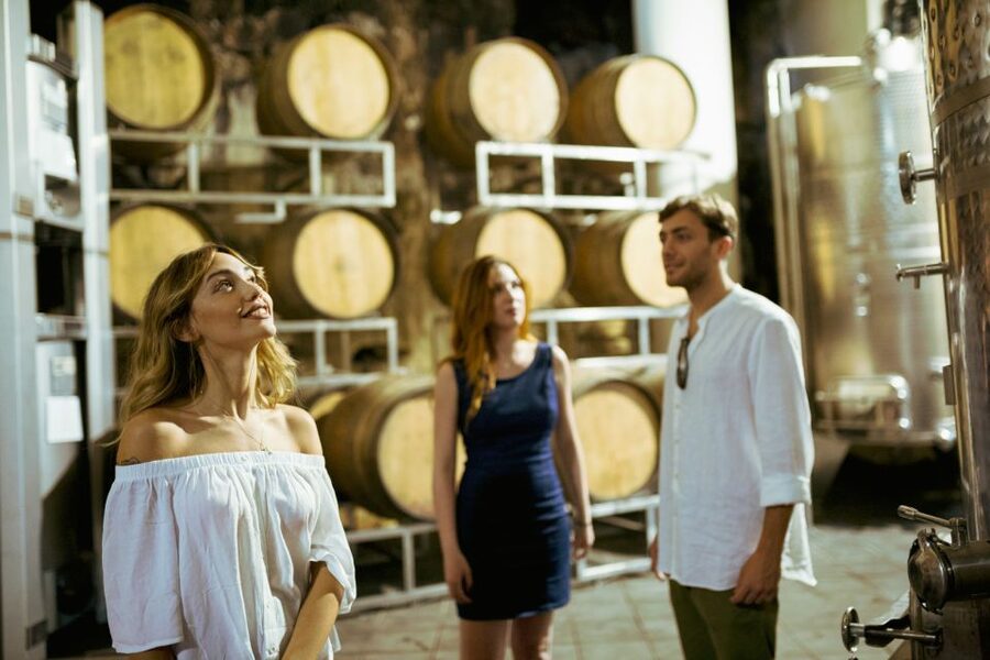 From Taormina: Mount Etna Food and Wine Tasting Tour - From cold snacks to a proper Sicilian lunch