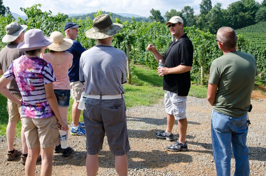 From Taormina: Private 3 Etna Wineries with Food & Wine - First winery: small scale, bruschetta, and Etna DOC