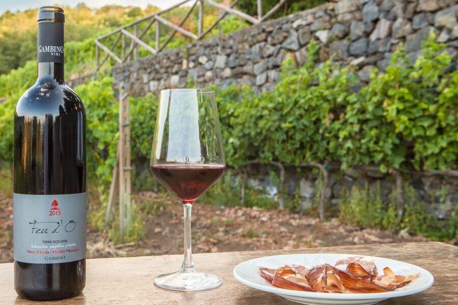 From Taormina: Private 3 Etna Wineries with Food & Wine - A private drive through Sicilian mountain villages