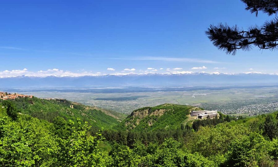 From Tbilisi: Kakheti Wine Region Tour with 9 Wine Tasting - Telavi finishes with wine, food, and an 800-year-old tree