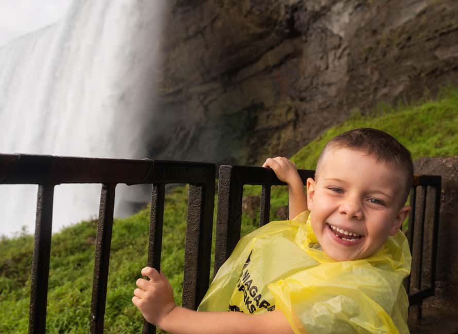 From Toronto: Niagara Falls Full-Day Bus Tour & Winery Stop - Lunch, optional costs, and the real price