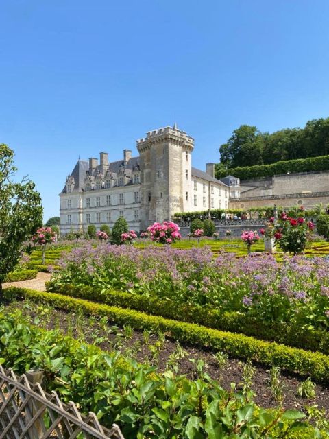 From Tours: Afternoon Loire Valley Wine Tour - A second tasting near Amboise
