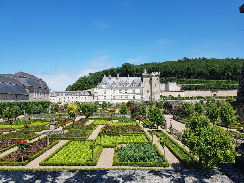 From Tours: Afternoon Loire Valley Wine Tour - Group size, walking, and practical comfort
