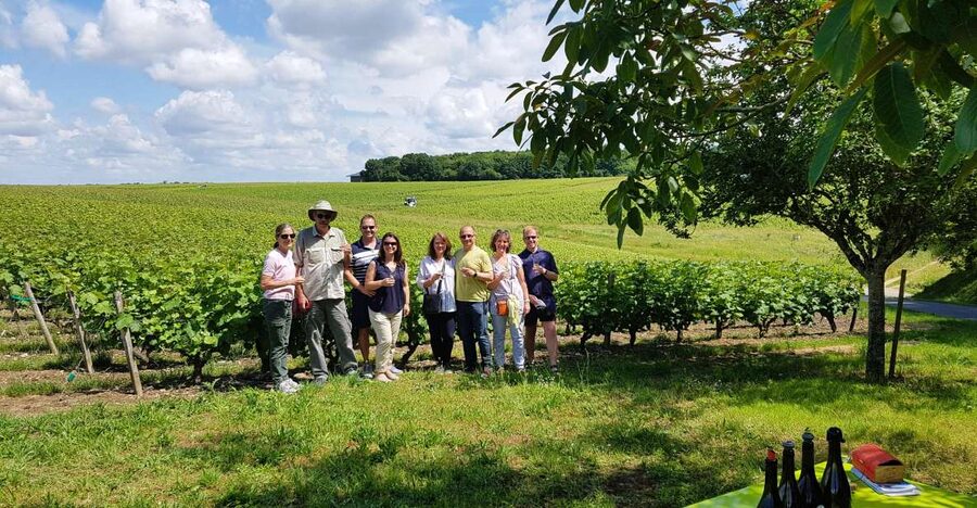From Tours: Afternoon Loire Valley Wine Tour - Should you book the Afternoon Loire Valley Wine Tour?