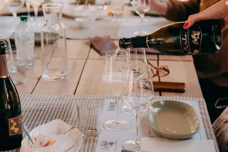 From Venice: Prosecco Hills and Wine Tasting Tour - Price, group size, and overall value
