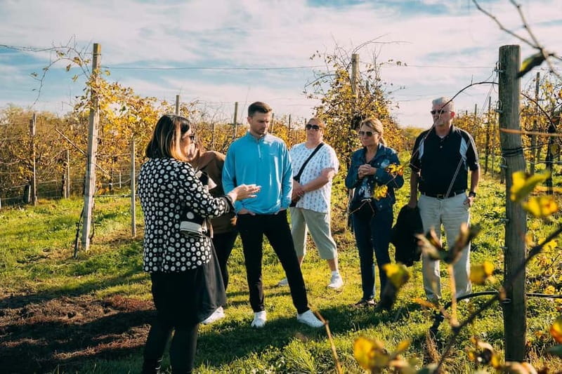 From Venice: Prosecco Hills and Wine Tasting Tour - Why leave Venice for the Prosecco Hills?
