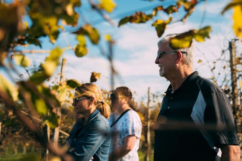 From Venice: Prosecco Hills and Wine Tasting Tour - The scenery, photo stops, and weather
