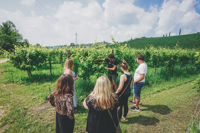 From Venice: Prosecco Wine Region Tour with 2 Tastings - Meeting at Piazzale Roma at 10:00 a.m.