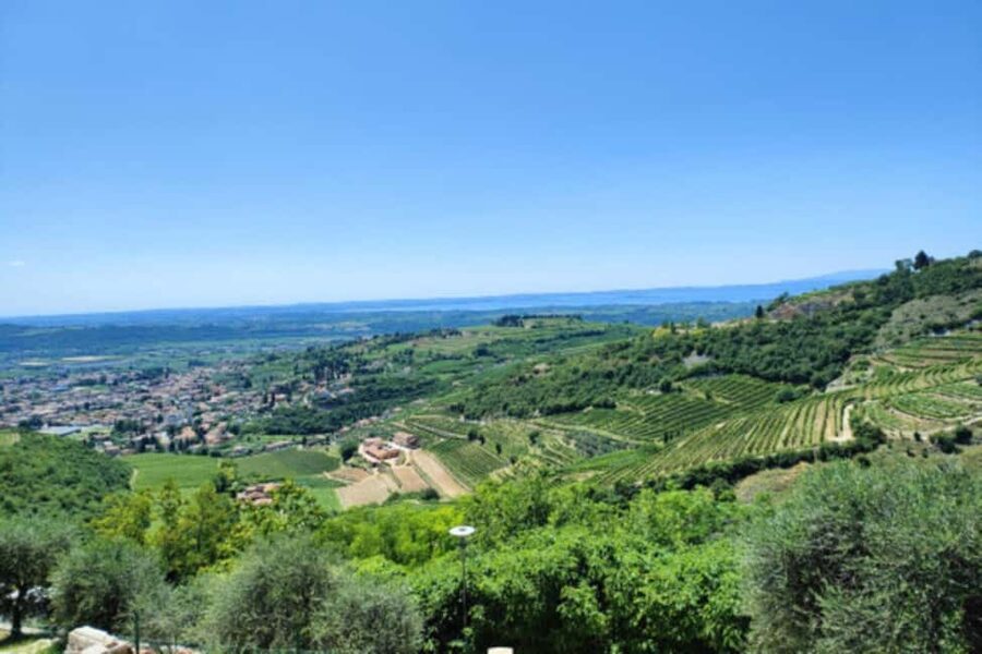 From Verona: Amarone Half-Day Wine Tasting Tour - Why Amarone country deserves an afternoon