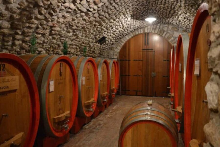 From Verona: Amarone Half-Day Wine Tasting Tour - Should you book it?