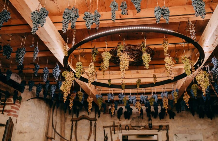 From Verona: Valpolicella and Amarone Wine Tasting Tour - Should you book it?