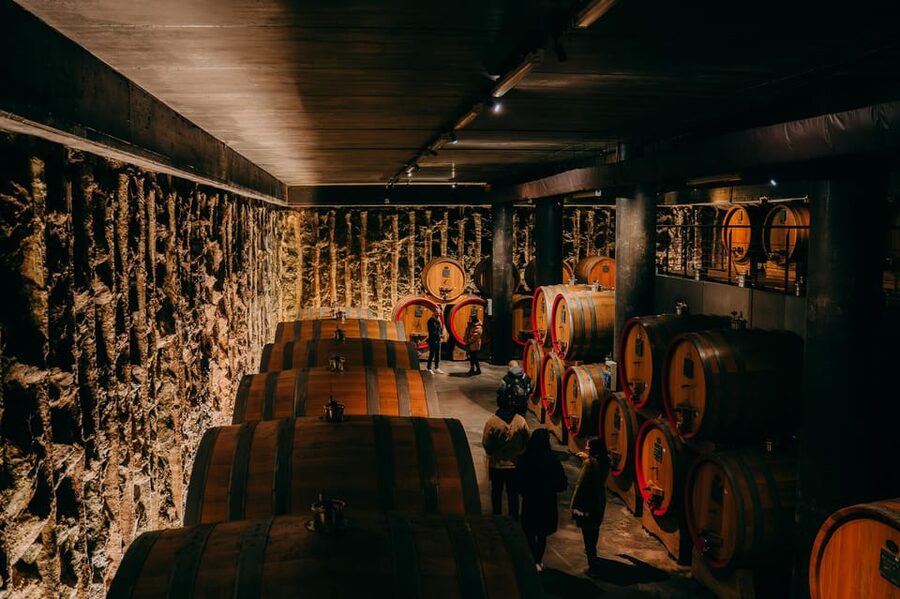 From Verona: Valpolicella and Amarone Wine Tasting Tour - The short ride to a different kind of winery