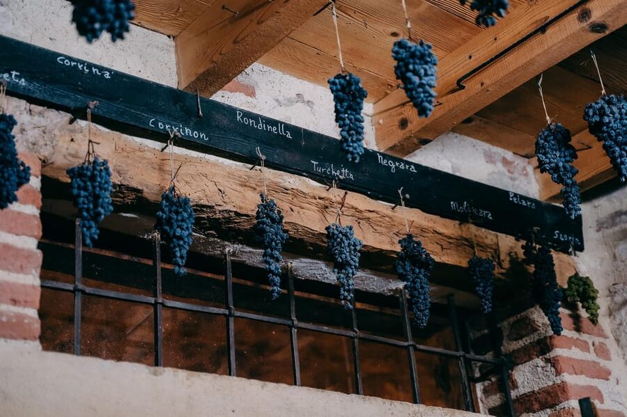 From Verona: Valpolicella and Amarone Wine Tasting Tour - What you learn about Amarone and Ripasso