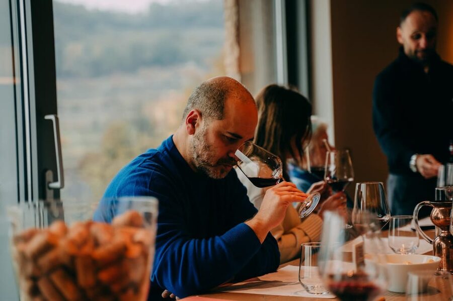 From Verona: Valpolicella and Amarone Wine Tasting Tour - The food pairings and the pace of tasting