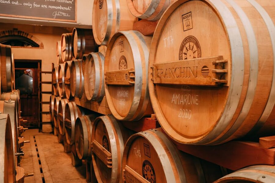 From Verona: Valpolicella and Amarone Wine Tasting Tour - Who should book this Valpolicella outing?