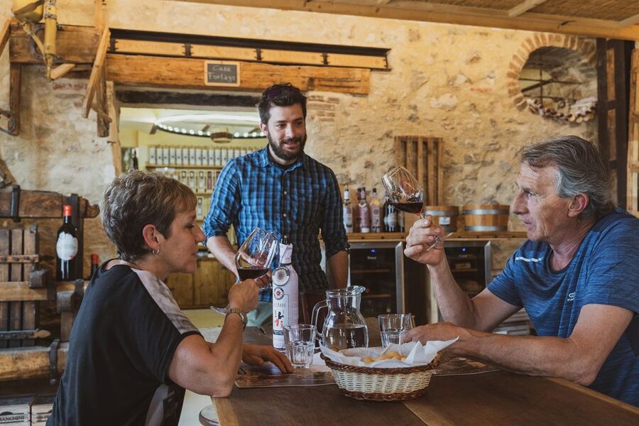From Verona: Valpolicella Winery Tour with Amarone Vintages - Key points to know before you book