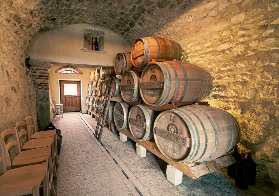 From Verona: Valpolicella Winery Tour with Amarone Vintages - Who will enjoy this winery visit?