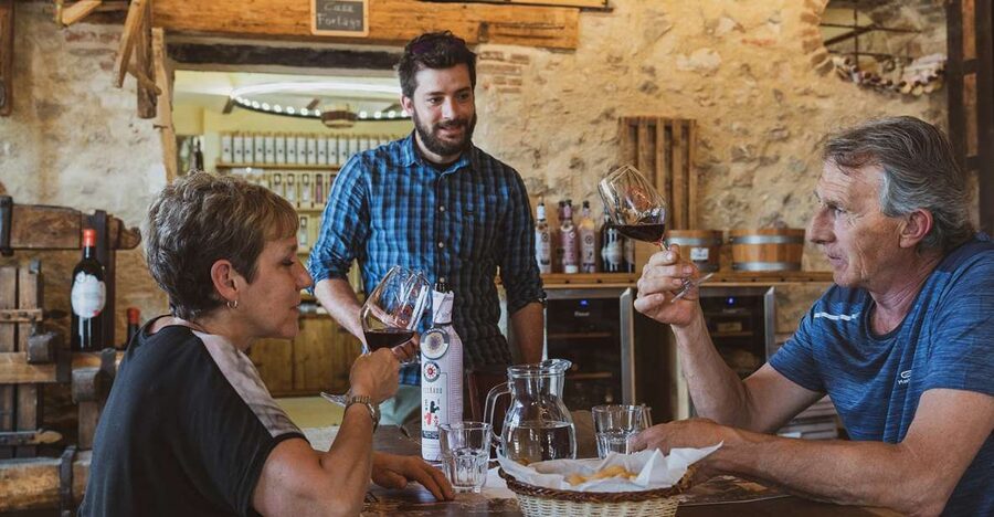From Verona: Valpolicella Winery Tour with Amarone Vintages - From Verona to the Valpolicella hills