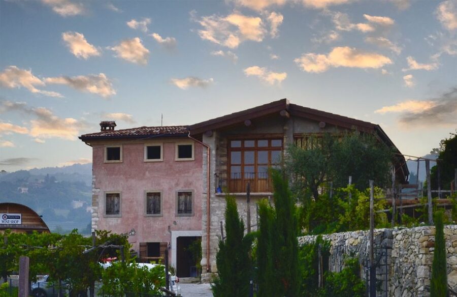From Verona: Valpolicella Winery Tour with Amarone Vintages - The three-wine option for a shorter visit
