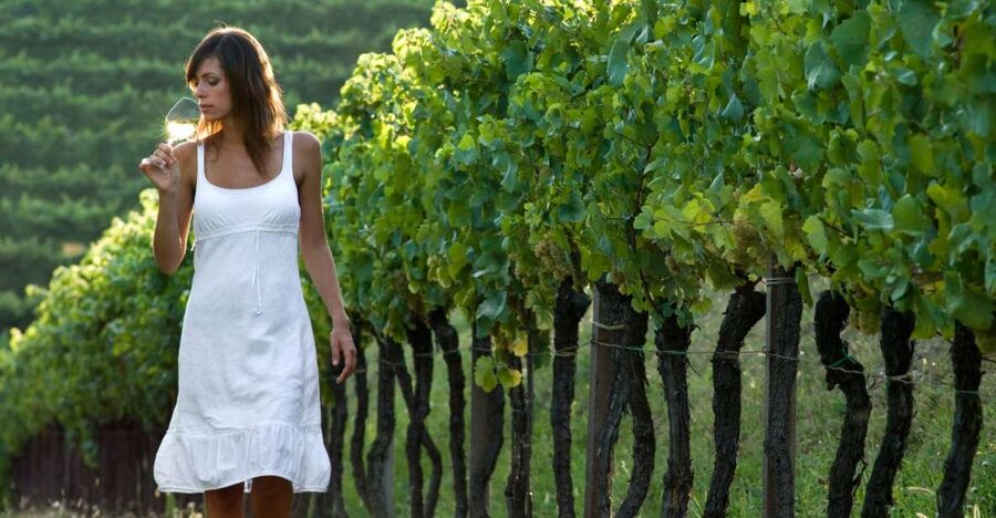 From Vienna: Half-day Countryside Wine Tour with Meal - The second winery adds contrast, not just more glasses