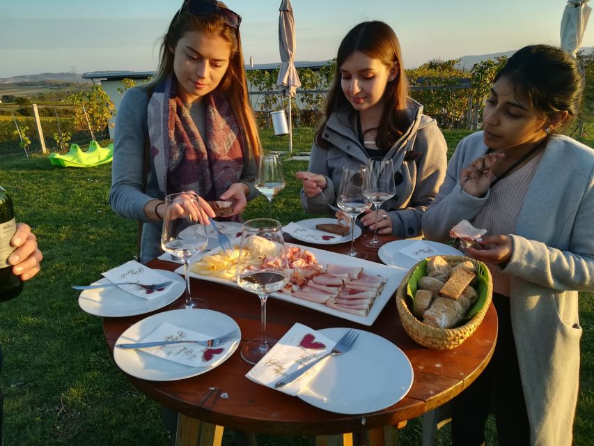 From Vienna: Half-day Countryside Wine Tour with Meal - The final stop turns tasting into a countryside meal