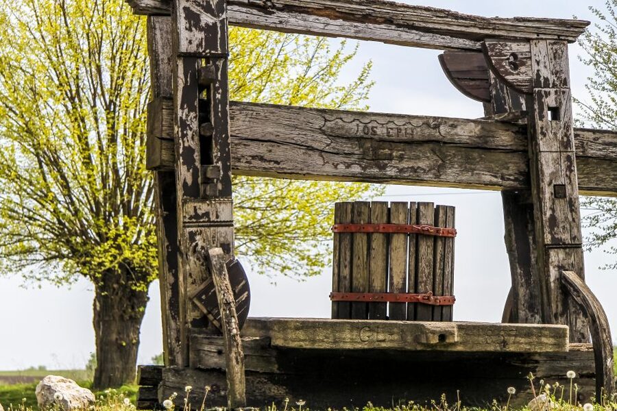 From Vienna: Half-day Countryside Wine Tour with Meal - Two wineries or three: which option suits you?