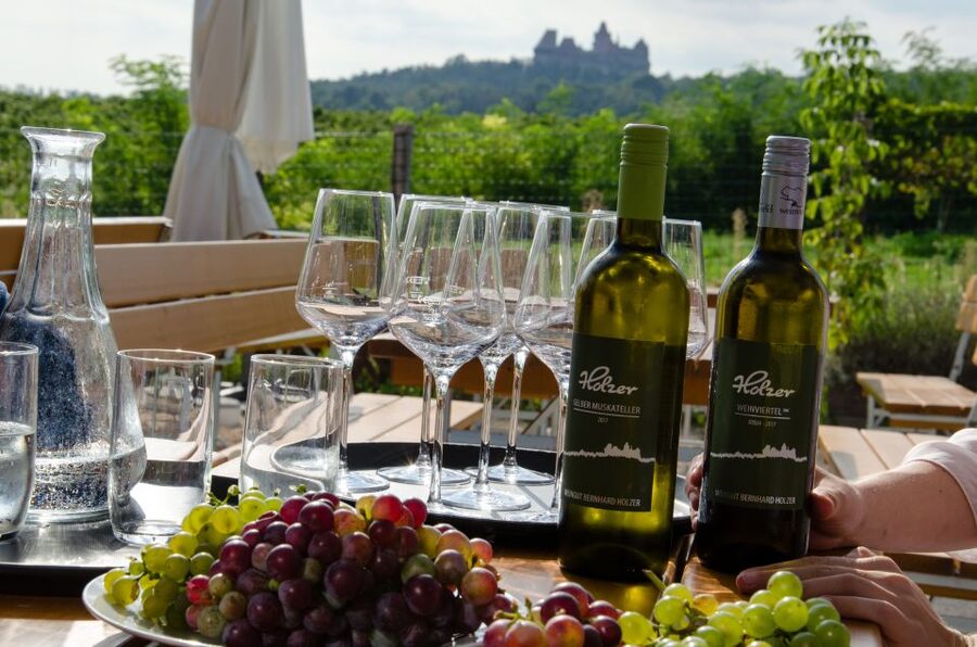 From Vienna: Half-day Countryside Wine Tour with Meal - First stop: a small winery with a personal welcome