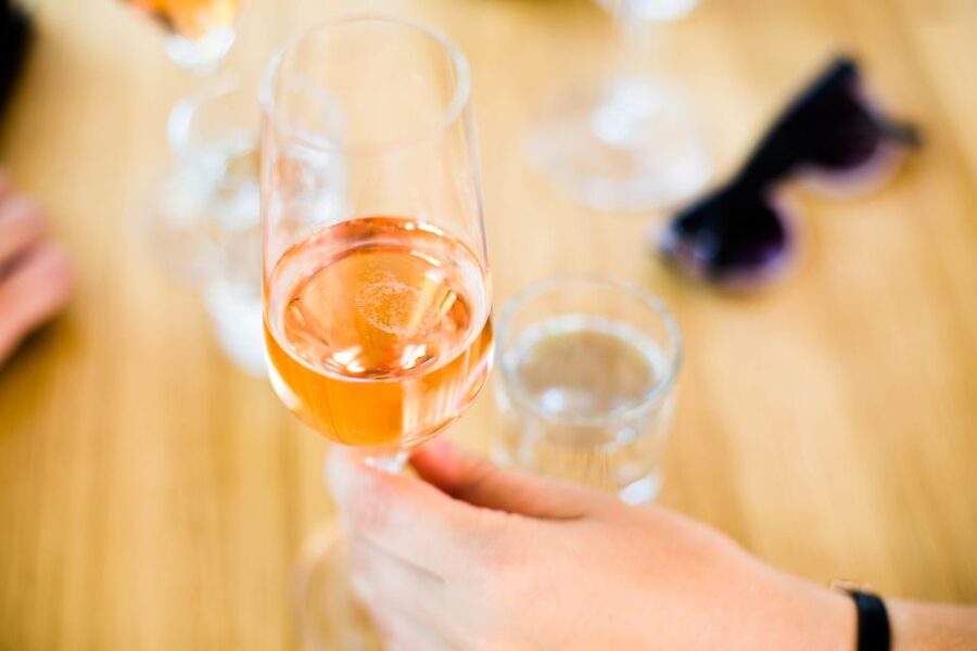 From Vienna: Wachau Valley Day Tour with Wine Tasting - Who should book this experience?